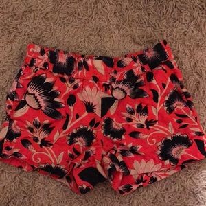 J crew shorts